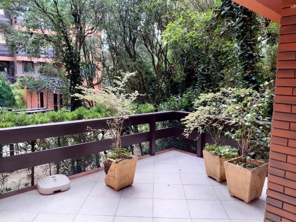 Com Natureza No Centro Apartamento